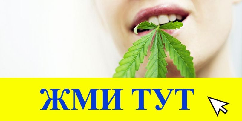 Купить наркотики в Тайшете